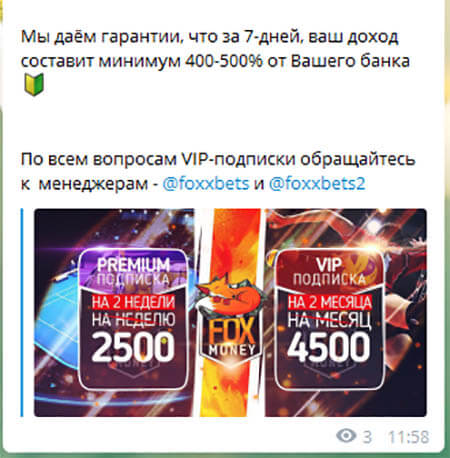 Fox Money статистика