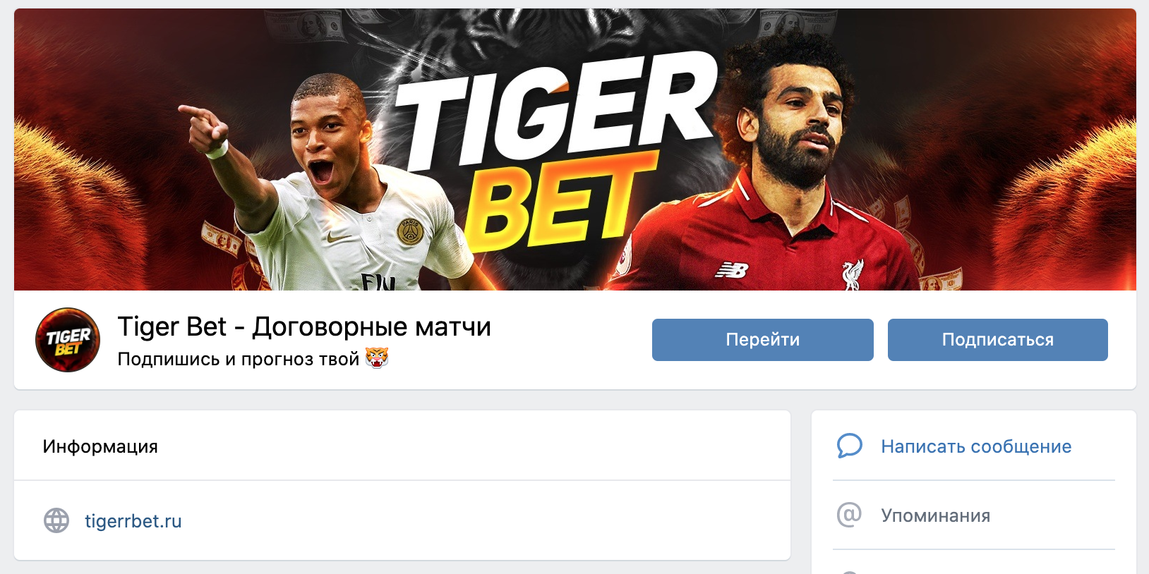 Группа ВК Tiger bet