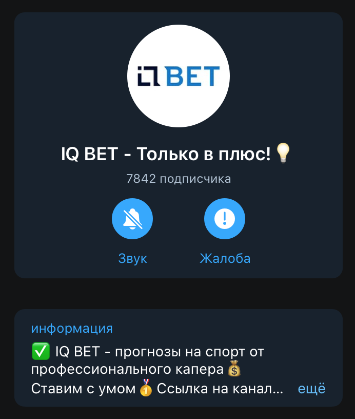 Телеграм канал IQ Bet