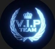 VIP TEAM